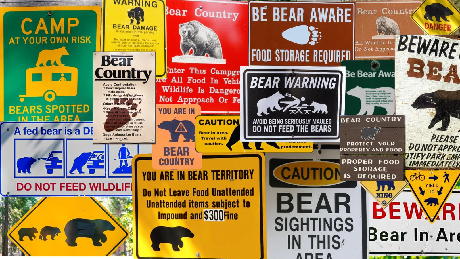 Bear crossing signs and bear country imagery collage